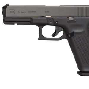 glock 17 frame